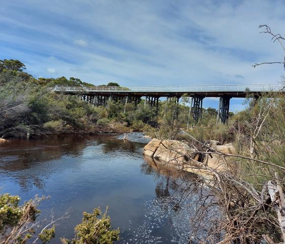 view of a bridge over water