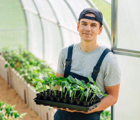 person holding a tray of seedlings in a green house