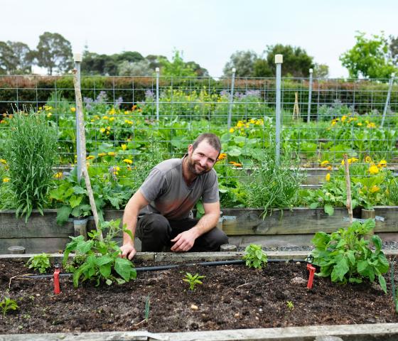 person in a garden growing vegetables